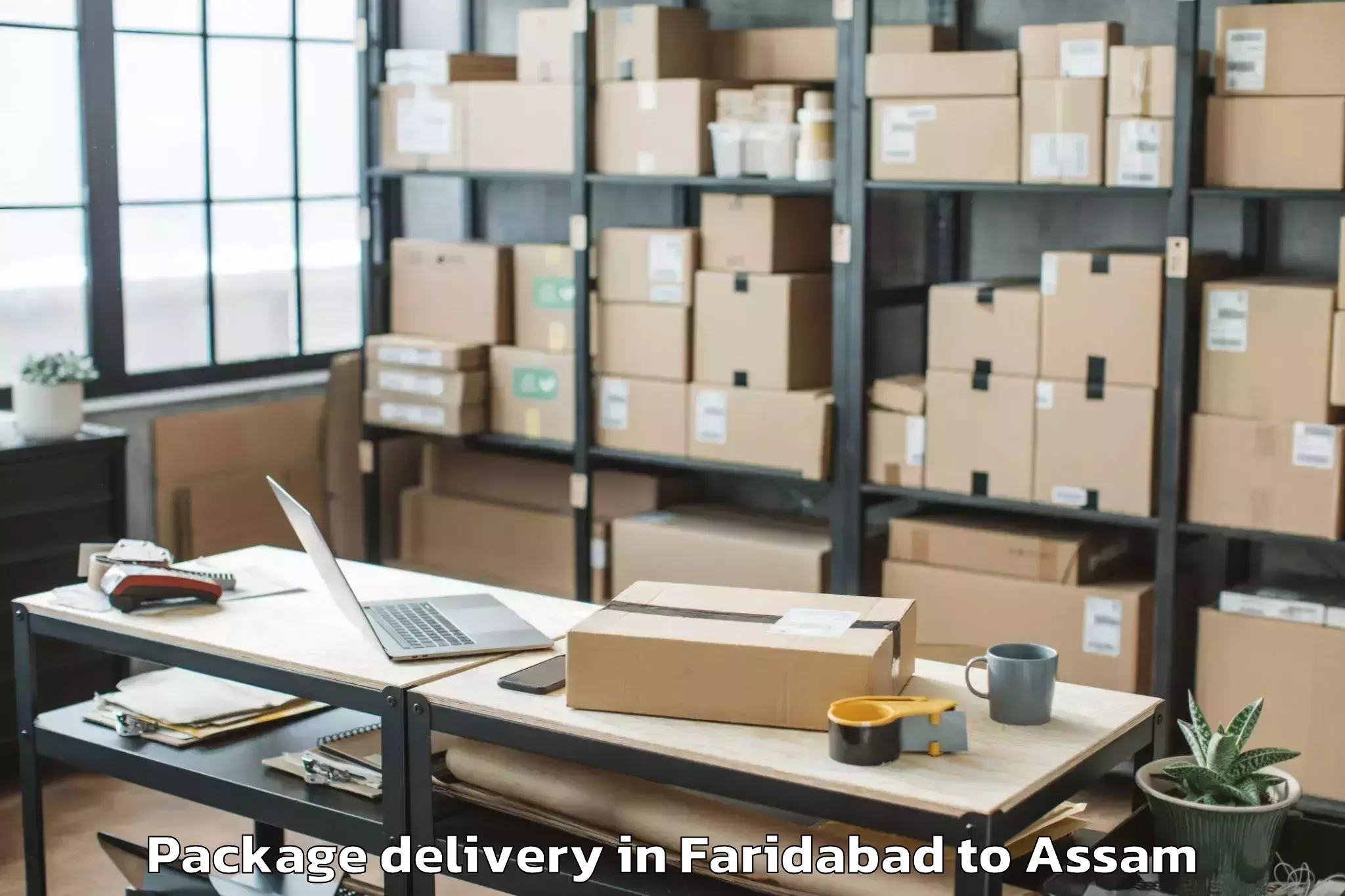 Leading Faridabad to Balijan Package Delivery Provider